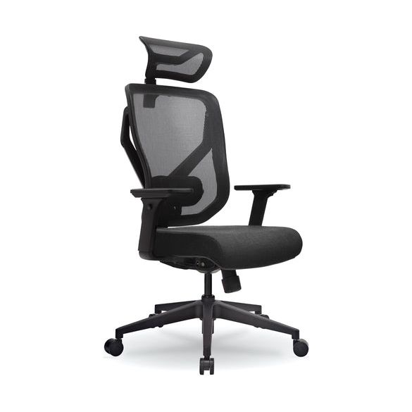 E-FORM, Exec Comfort Flex Mesh Chair